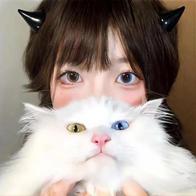 宝藏猎人